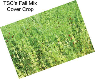 TSC\'s Fall Mix Cover Crop