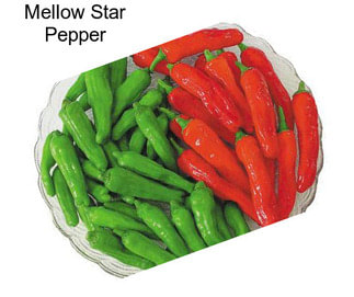 Mellow Star Pepper