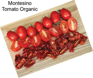 Montesino Tomato Organic
