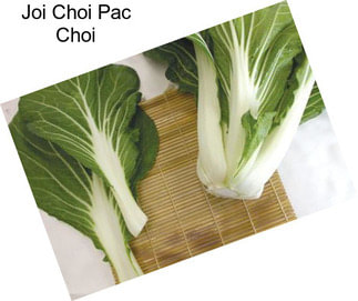 Joi Choi Pac Choi