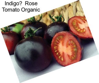 Indigo Rose Tomato Organic