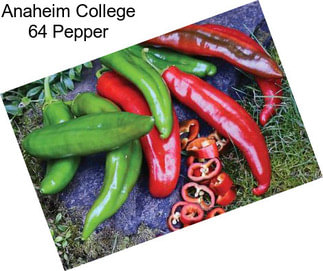 Anaheim College 64 Pepper