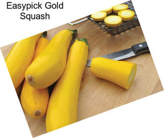 Easypick Gold Squash