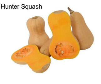 Hunter Squash