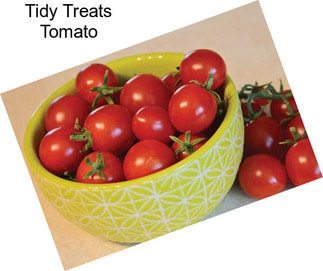 Tidy Treats Tomato
