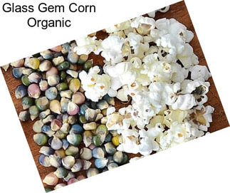 Glass Gem Corn Organic