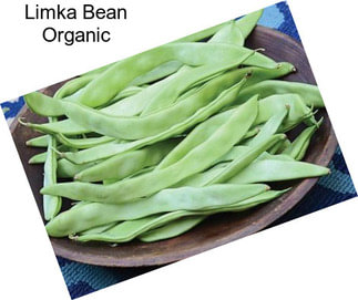 Limka Bean Organic