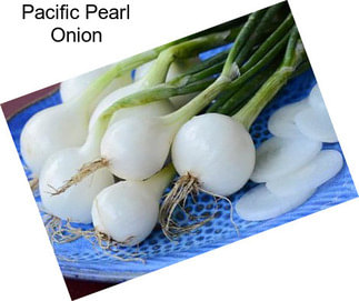 Pacific Pearl Onion