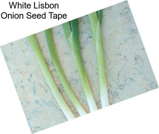 White Lisbon Onion Seed Tape