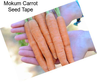 Mokum Carrot Seed Tape