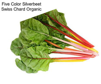 Five Color Silverbeet Swiss Chard Organic