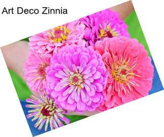 Art Deco Zinnia