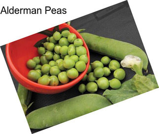 Alderman Peas