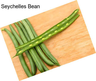 Seychelles Bean