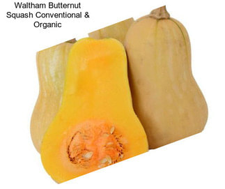 Waltham Butternut Squash Conventional & Organic