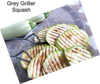 Grey Griller Squash