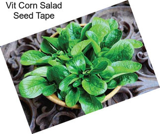 Vit Corn Salad Seed Tape