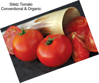 Siletz Tomato Conventional & Organic