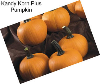 Kandy Korn Plus Pumpkin