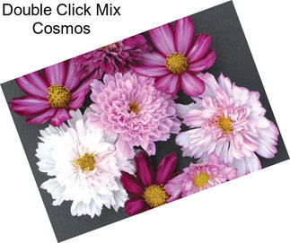 Double Click Mix Cosmos