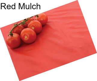 Red Mulch