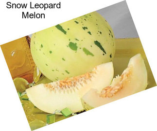 Snow Leopard Melon