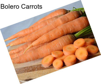 Bolero Carrots