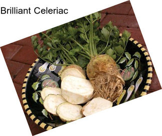 Brilliant Celeriac