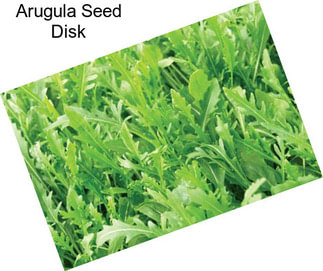 Arugula Seed Disk