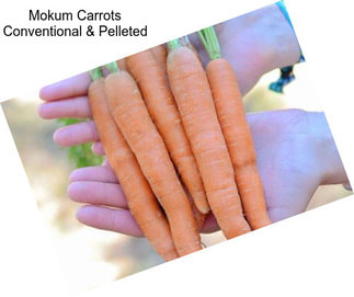 Mokum Carrots Conventional & Pelleted