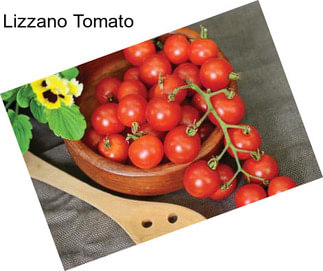 Lizzano Tomato