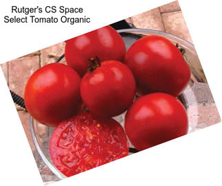 Rutger\'s CS Space Select Tomato Organic
