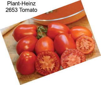 Plant-Heinz 2653 Tomato