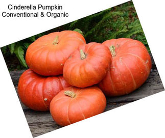 Cinderella Pumpkin Conventional & Organic