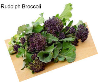 Rudolph Broccoli