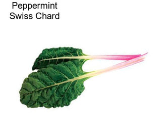 Peppermint Swiss Chard
