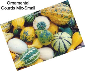 Ornamental Gourds Mix-Small