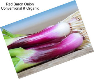 Red Baron Onion Conventional & Organic