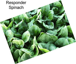 Responder Spinach