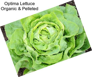 Optima Lettuce Organic & Pelleted