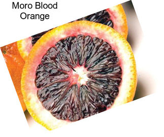 Moro Blood Orange