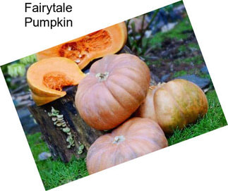 Fairytale Pumpkin