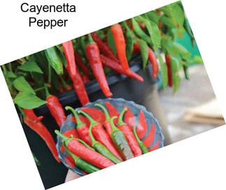 Cayenetta Pepper