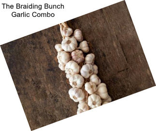 The Braiding Bunch Garlic Combo