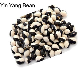 Yin Yang Bean