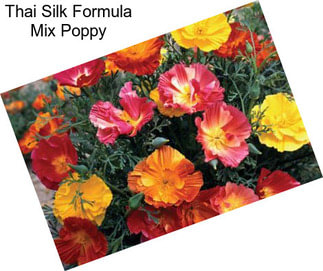 Thai Silk Formula Mix Poppy