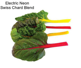 Electric Neon Swiss Chard Blend