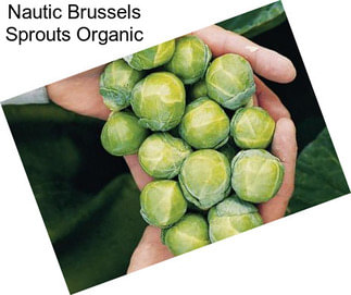 Nautic Brussels Sprouts Organic