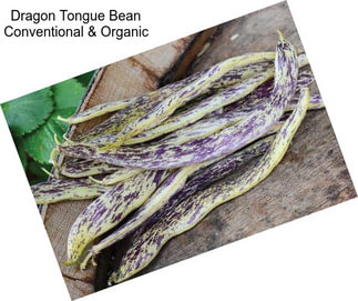 Dragon Tongue Bean Conventional & Organic
