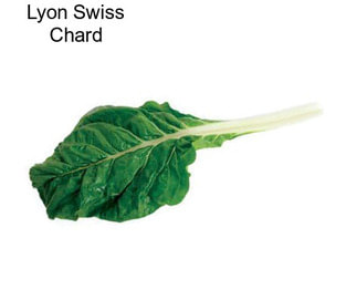 Lyon Swiss Chard